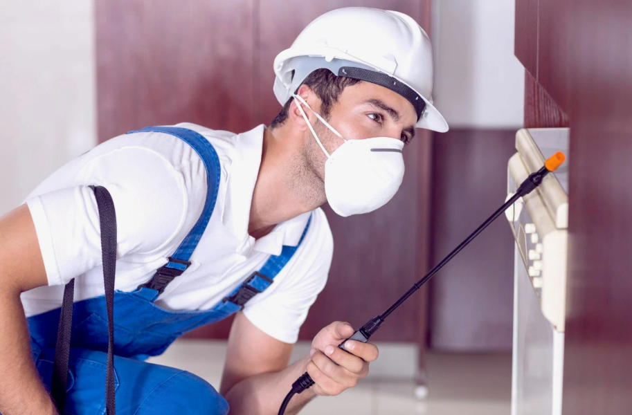 Terrell local pest services