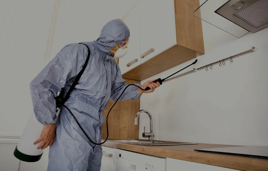 Terrell pest managment