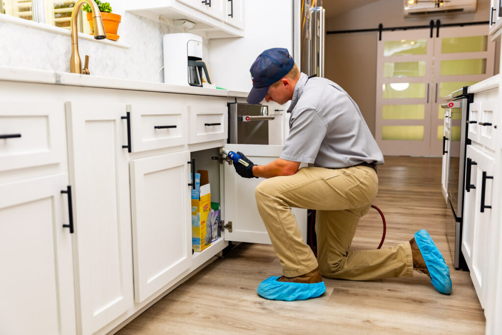 Terrell xpert pest management
